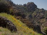 Pinnacles NM 013